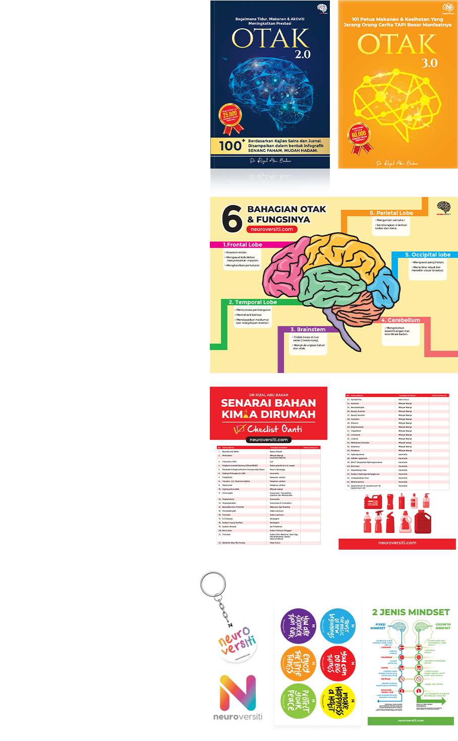 1862023_Neuroversiti_neurobox bo2