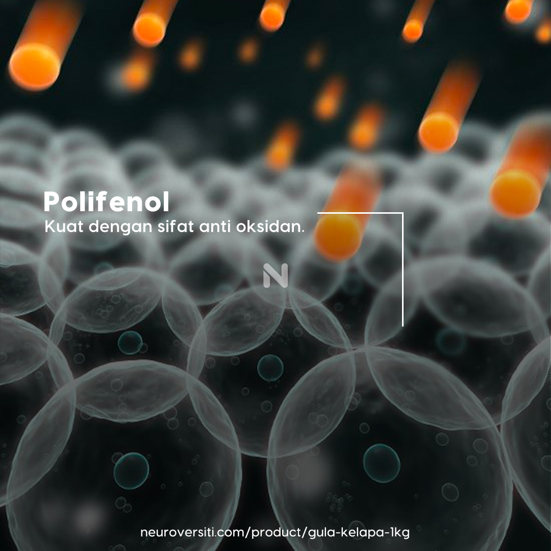 GULA KELAPA 1Kg - Image 3