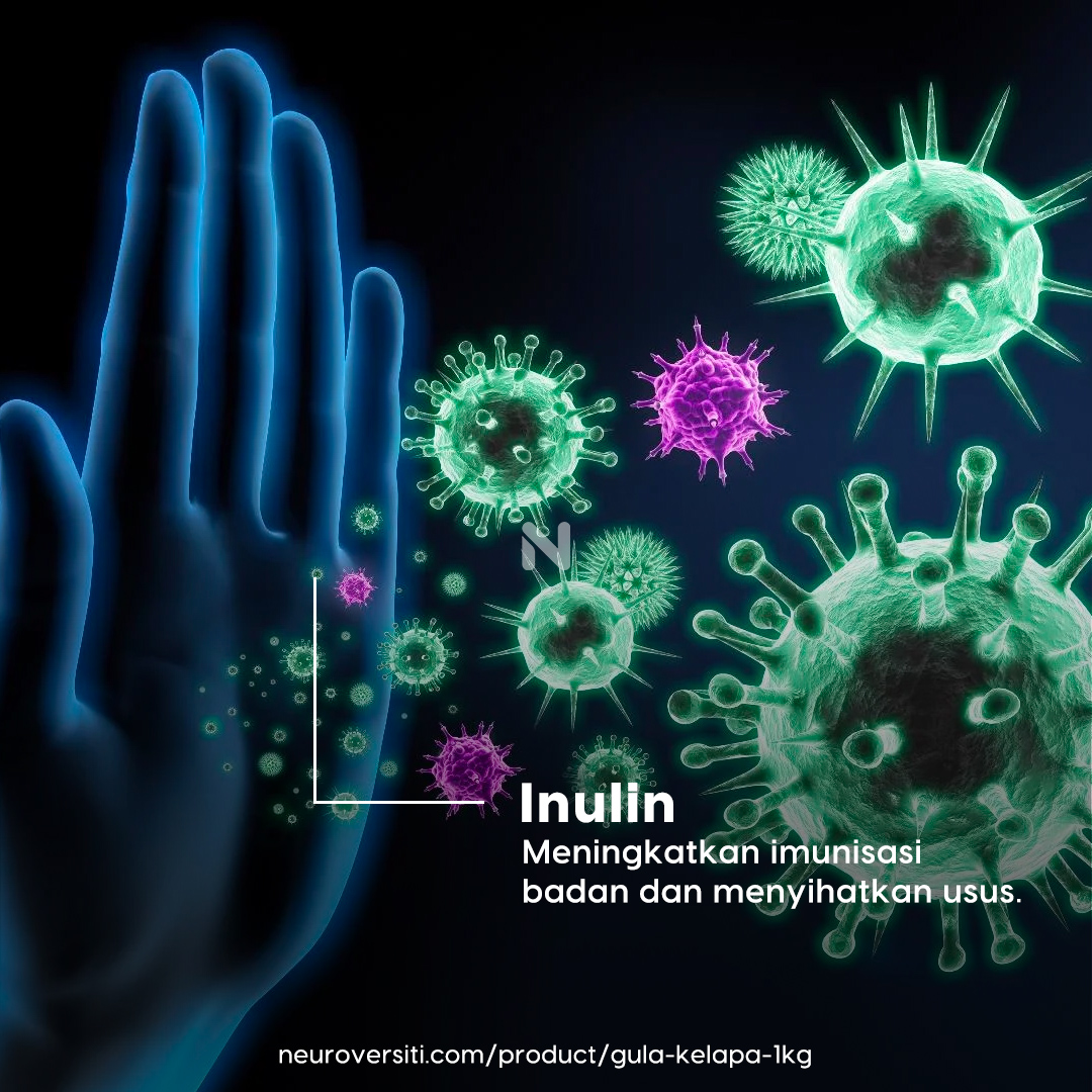 GULA KELAPA 1Kg - Image 4