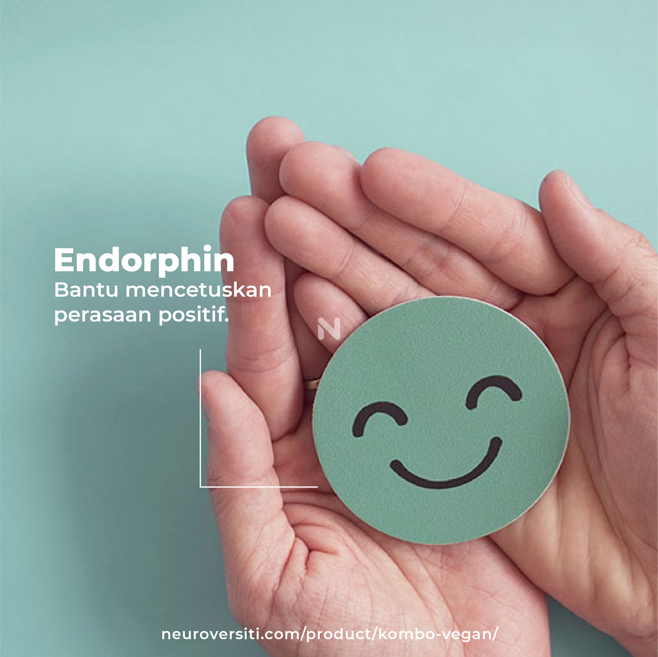 OCOC KOMBO VEGAN - Image 14