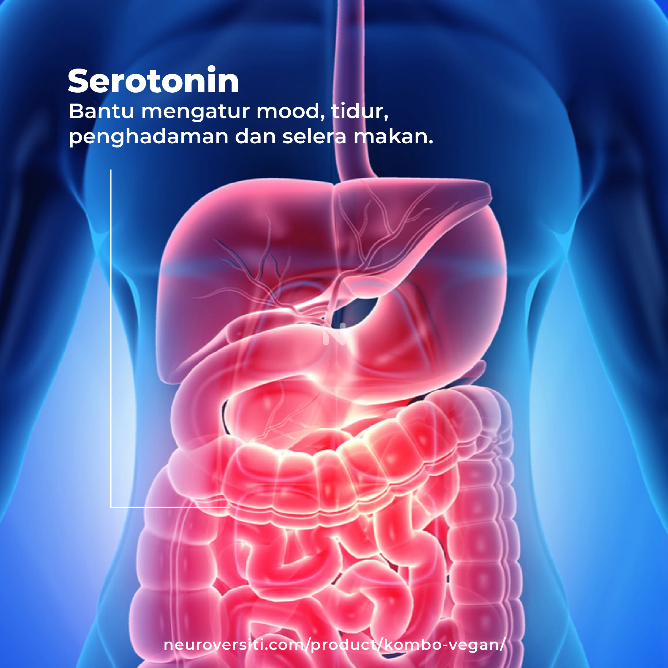 OCOC KOMBO VEGAN - Image 15