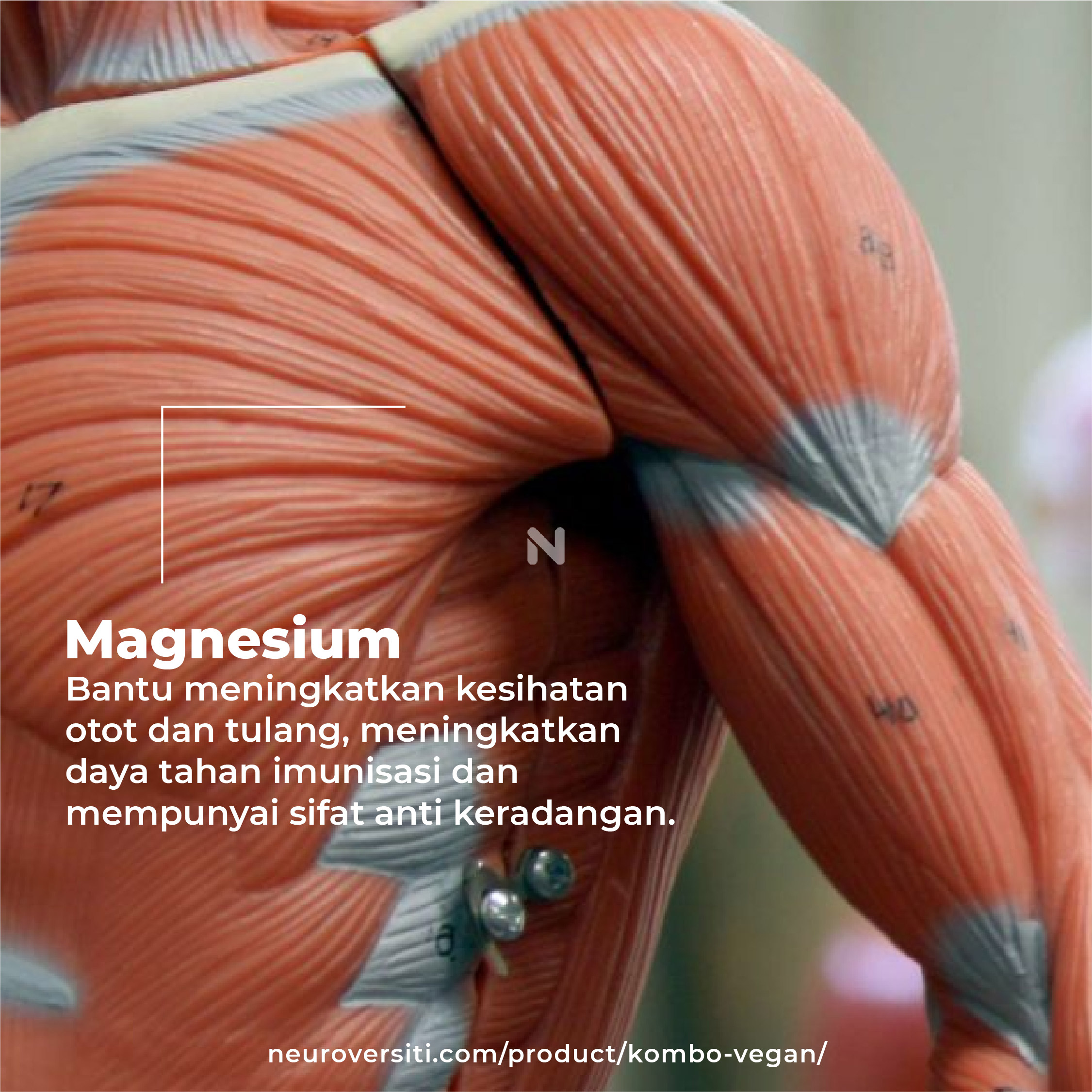 OCOC KOMBO VEGAN - Image 13