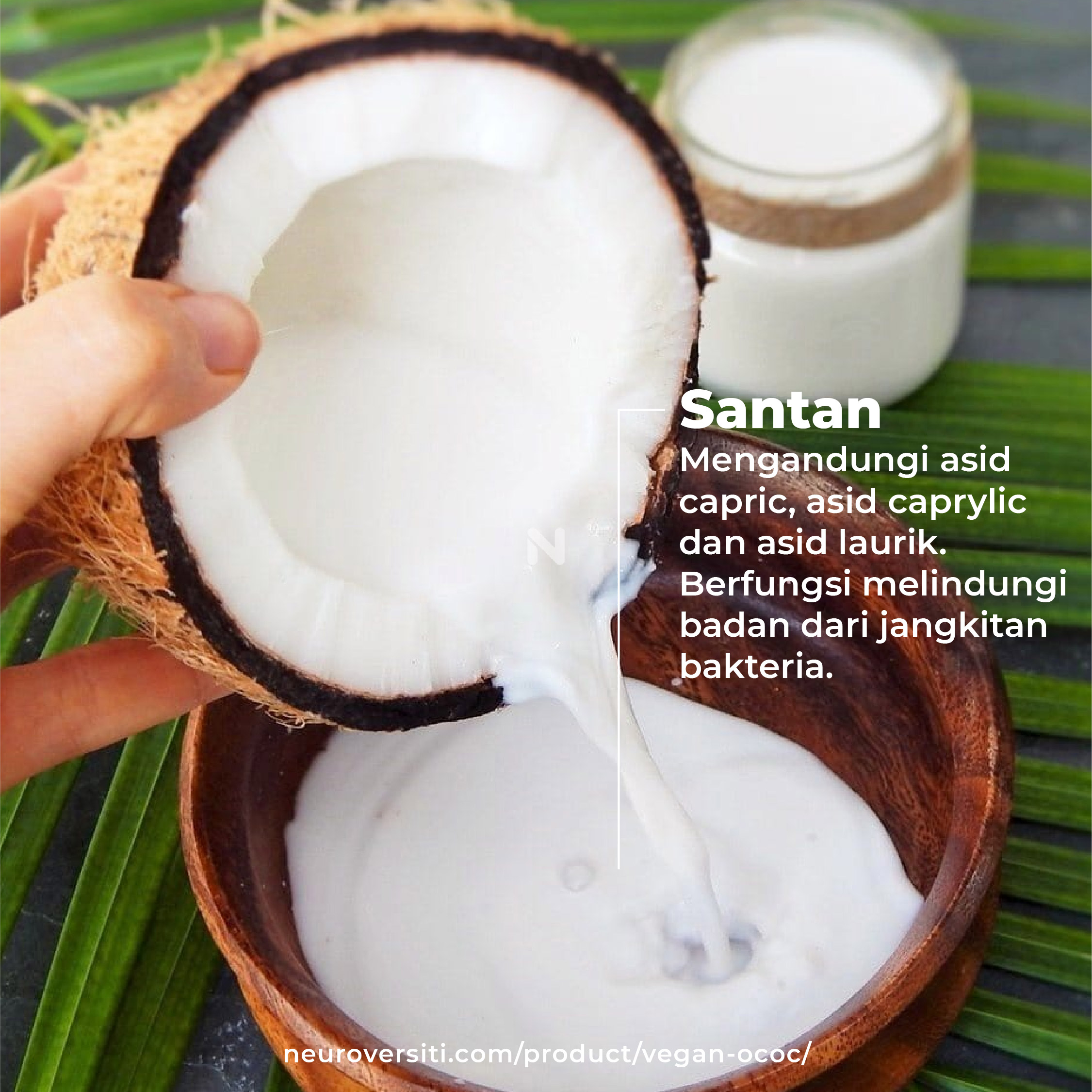 OCOC VEGAN - Image 10