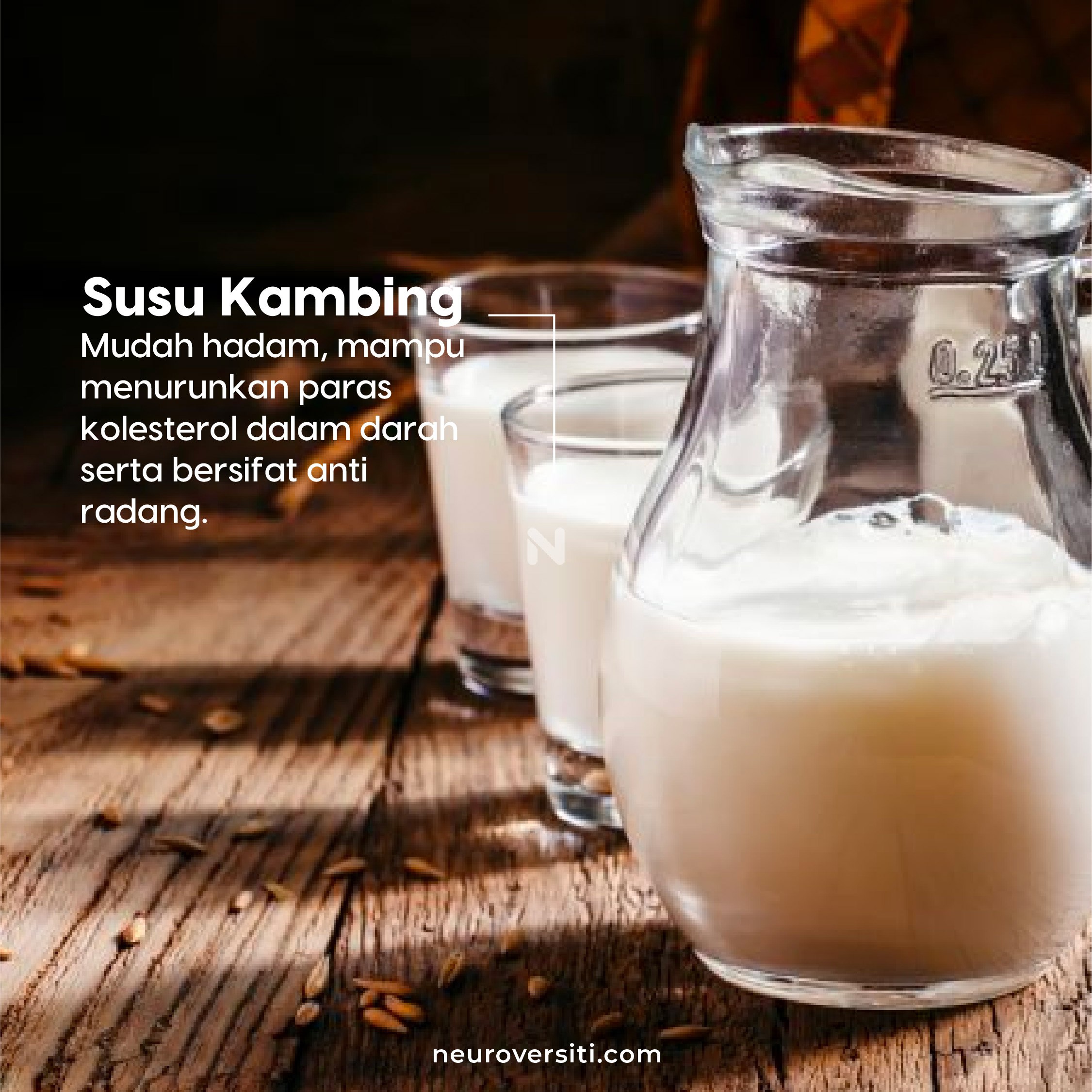 OCOC COCO + OCOC VEGAN - Image 6